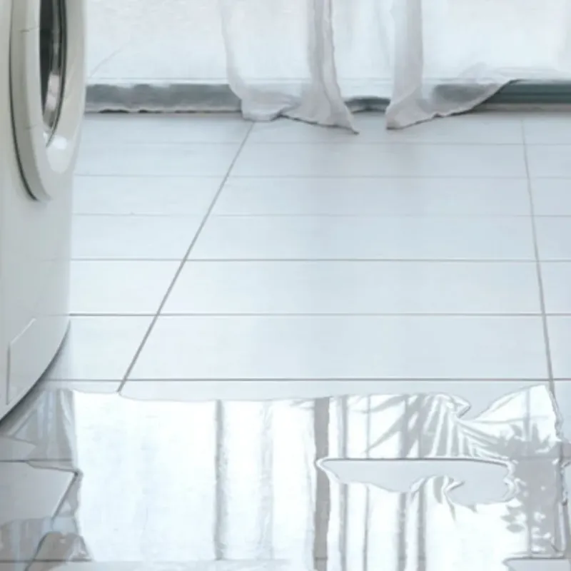 Appliance Leak Cleanup in Delaware County, OK