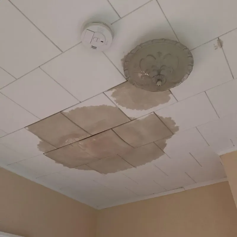 Ceiling Water Damage Repair in Delaware County, OK