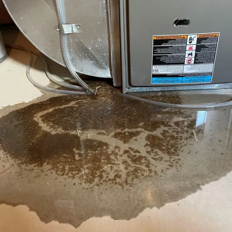 Pipe Burst and Leak Restoration in Delaware County, OK